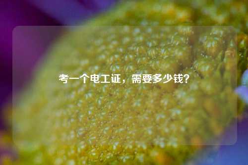 考一個(gè)電工證，需要多少錢？-圖1