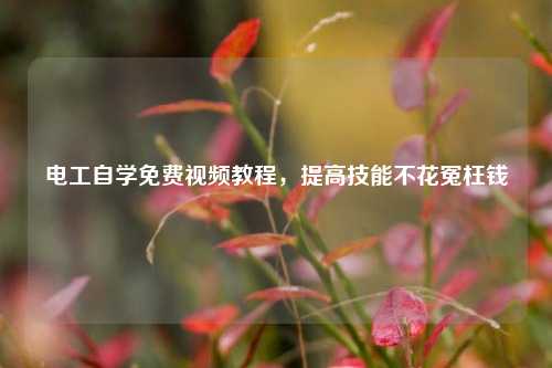 電工自學(xué)免費(fèi)視頻教程，提高技能不花冤枉錢(qián)-圖1