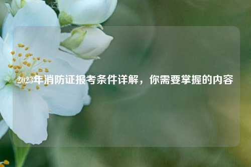 2023年消防證報考條件詳解，你需要掌握的內(nèi)容-圖1