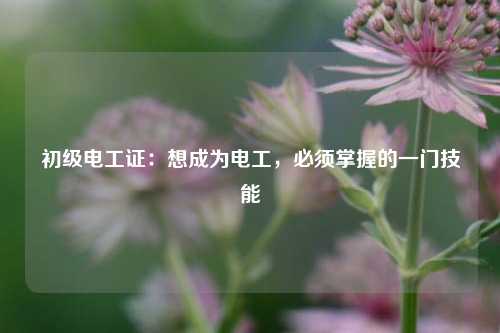 初級(jí)電工證：想成為電工，必須掌握的一門技能-圖1