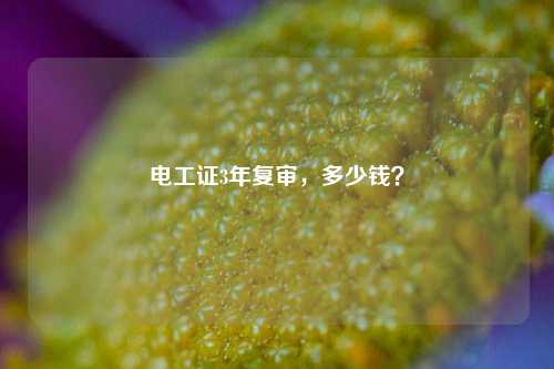 電工證3年復(fù)審，多少錢？-圖1